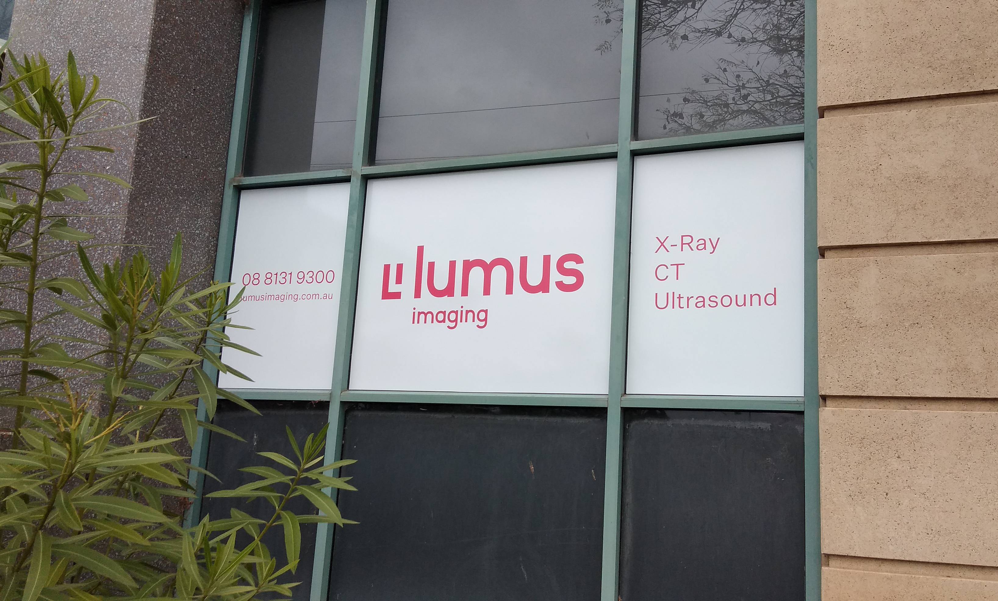 Lumus window graphics